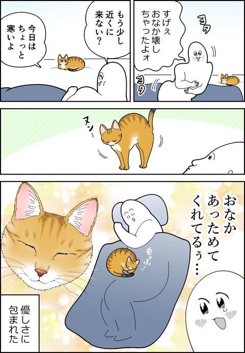 猫の優しさ