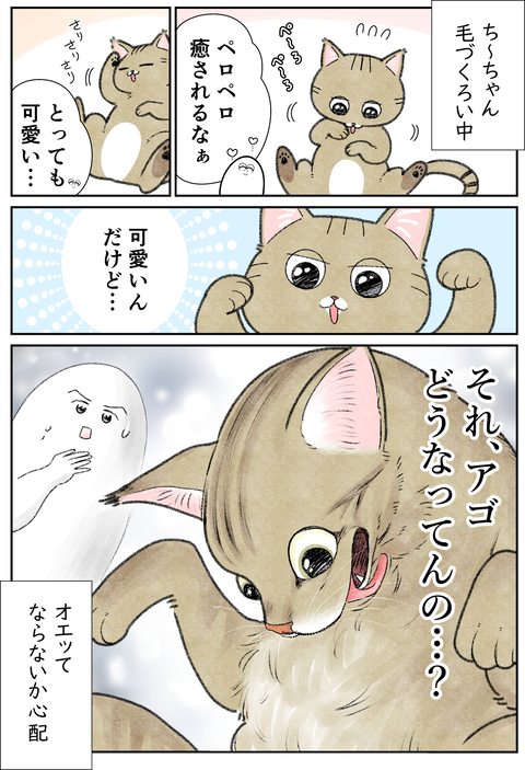 ち~ちゃんと毛づくろい