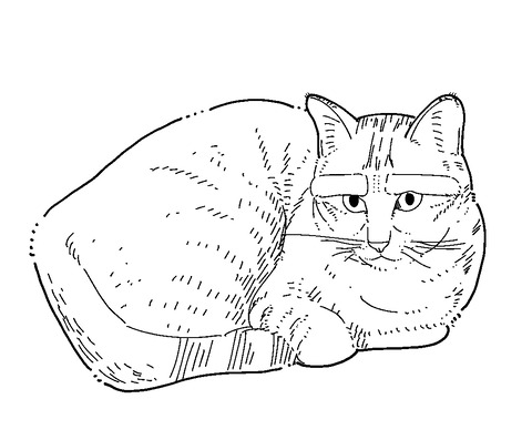 まゆねこ