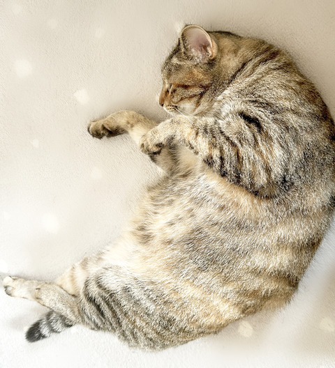 B9A38B2D-EE2C-4318-AAF1-FC38206F5BB0