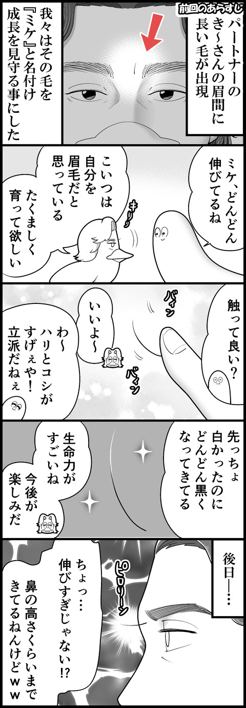 ミケの消失