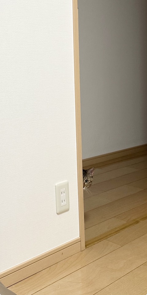 FullSizeRender