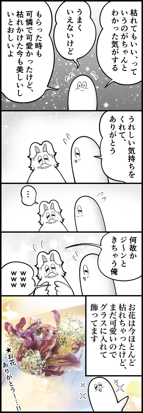枯れても良い花③
