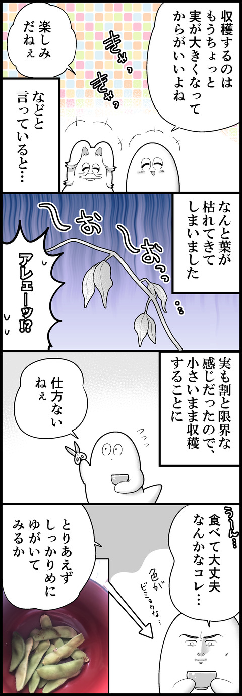 枝豆食べたよ②