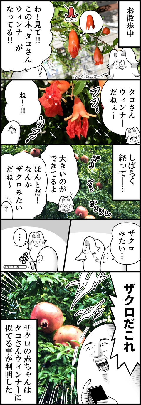 謎のタコさんウィンナ―の正体