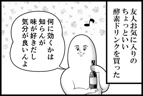 ちょっといい酵素ドリンク①