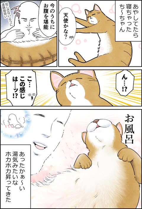 ディスイズねこ浴清書