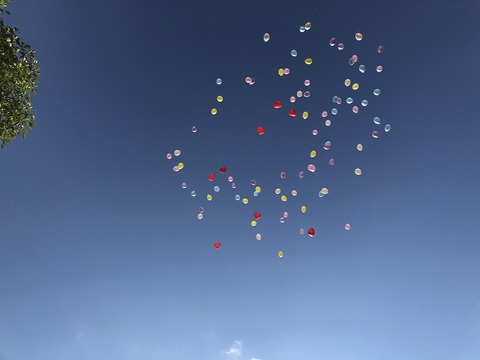 b91cf8b4-4038-42a2-8153-22d52419164f