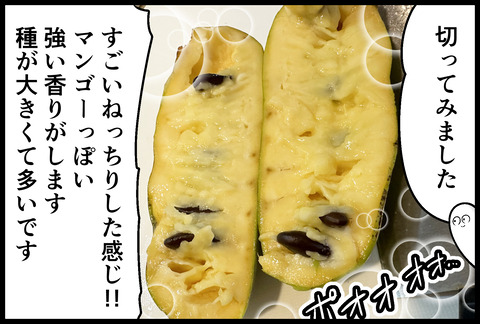 謎の実ポーポーを食す②