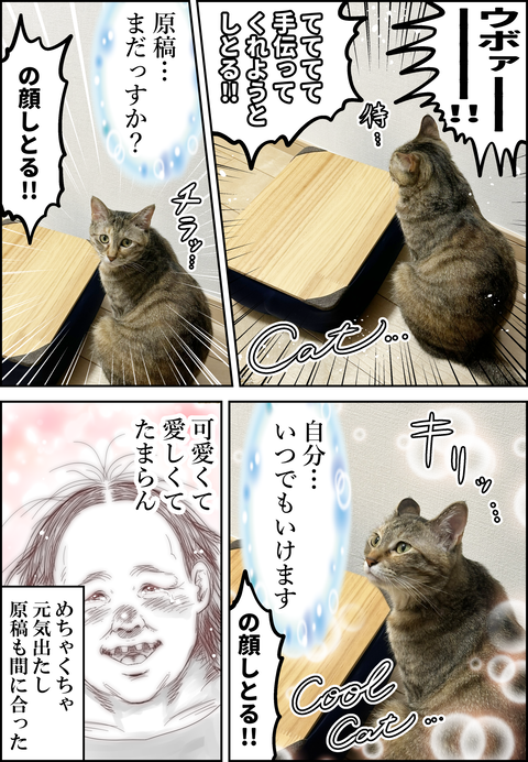 猫の手も借りたい②