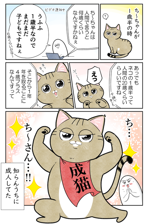 ネコの1歳半