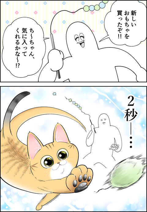 愛猫と遊ぼう♪