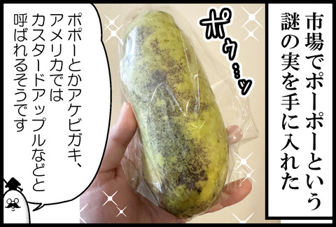 謎の実ポーポーを食す①
