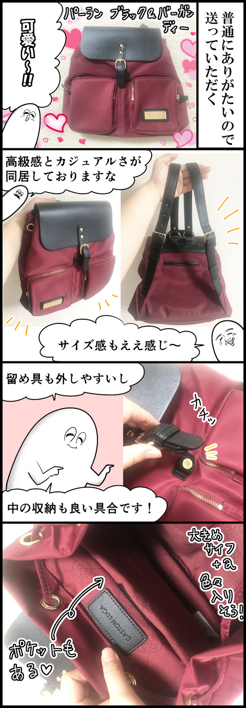 ガストンルーガの新しいバックパック②