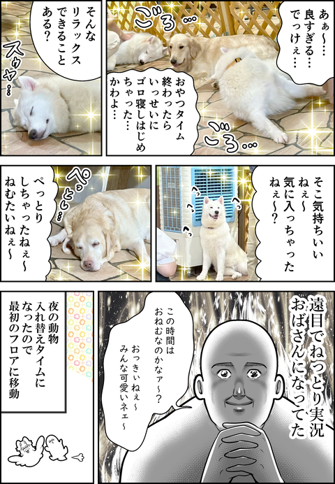 アニミル6周年レポ⑥