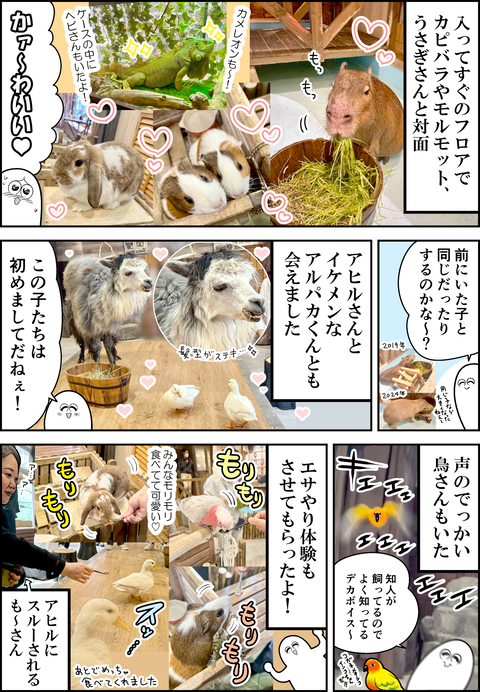 アニミル6周年レポ②