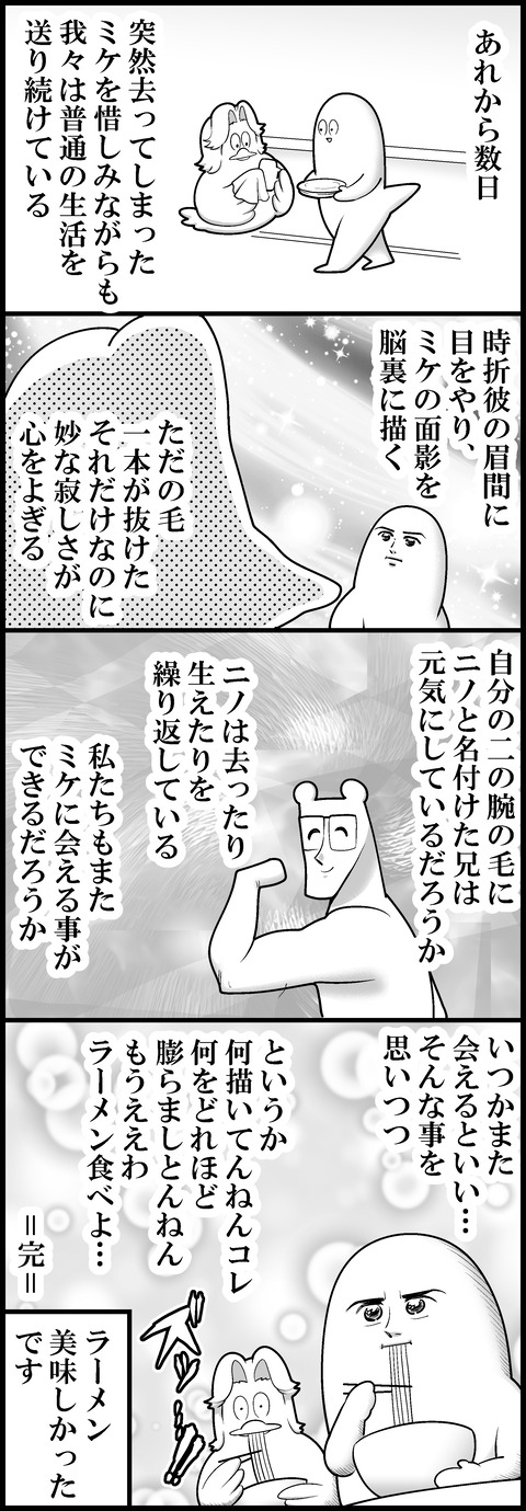 ミケの消失④