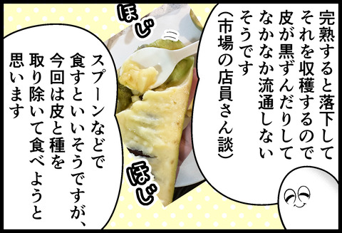 謎の実ポーポーを食す③
