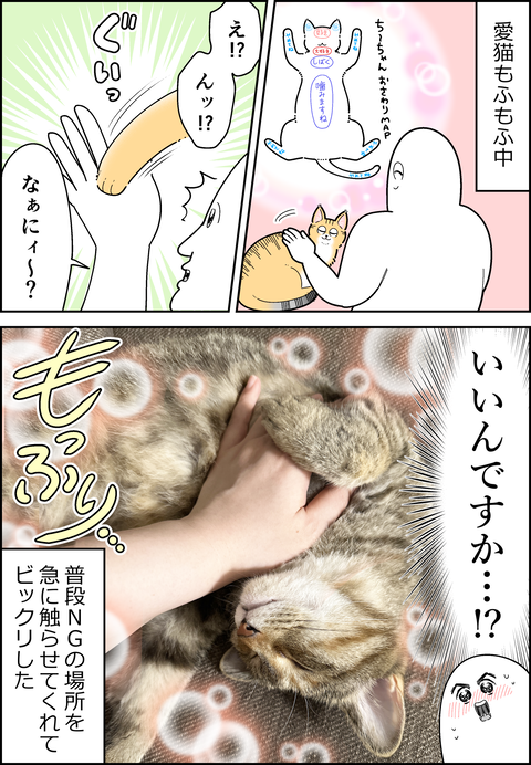 突然のサービス