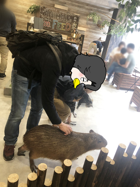 ぽりぽり