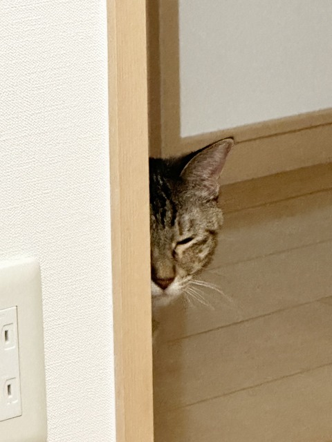 FullSizeRender