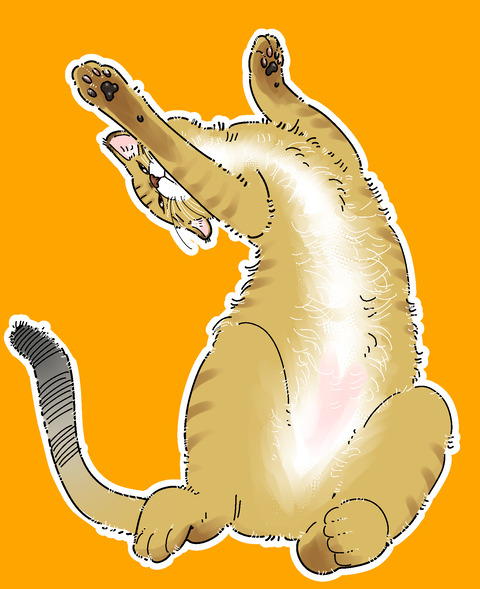 ちゃまま