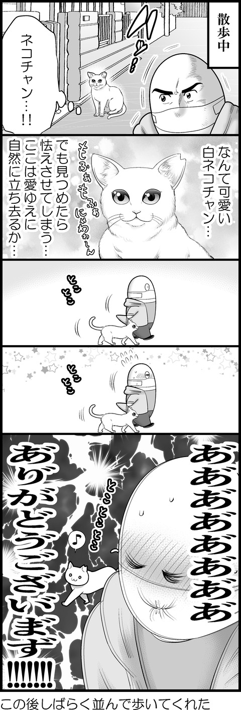 ネコチャン最高