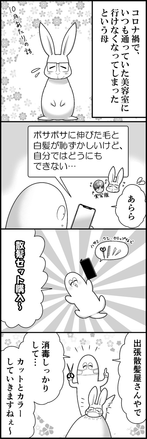 母の髪に触れて