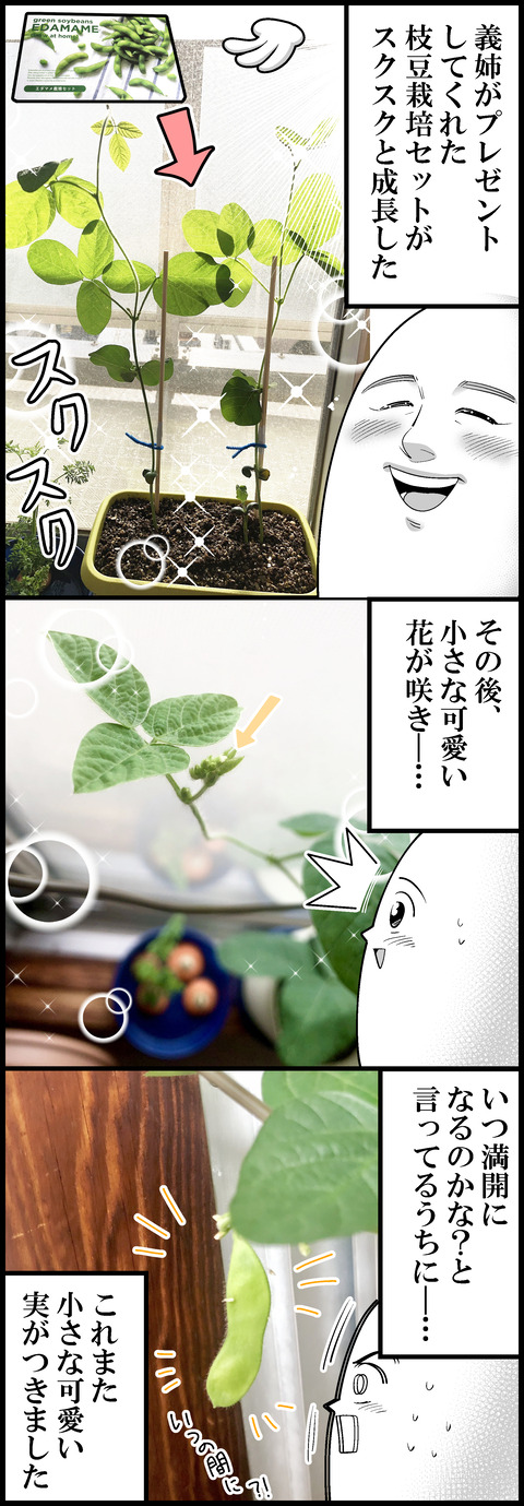 枝豆食べたよ