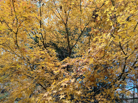 IMG_3157