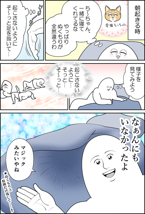 愛猫マジック