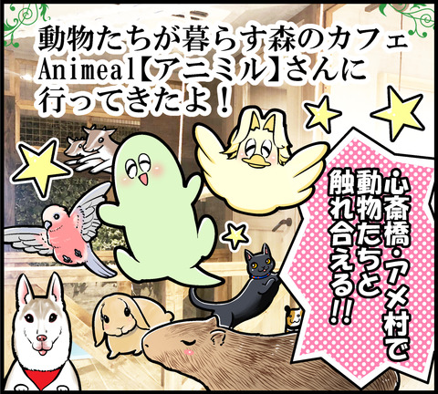 アニミル①