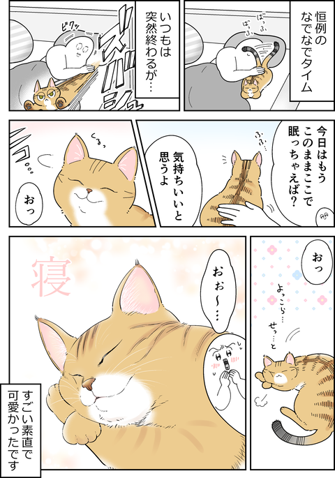 愛猫ち~ちゃんが近くで寝るようになった日の話