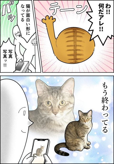 シャッターチャンスは一瞬で