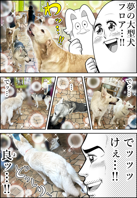 アニミル6周年レポ⑤