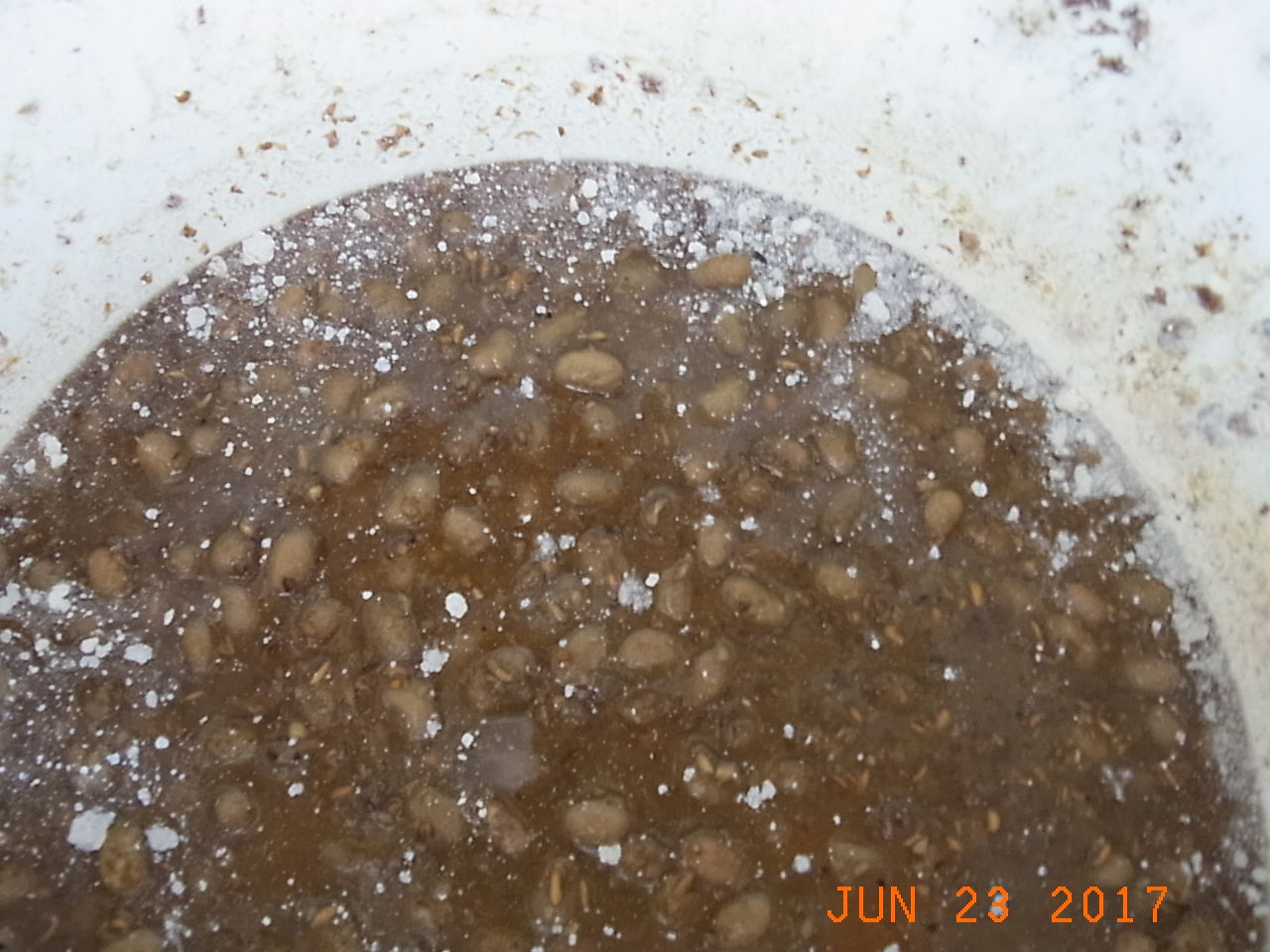 大変だー 醤油に白カビ発生 手抜き菜園歳時記２