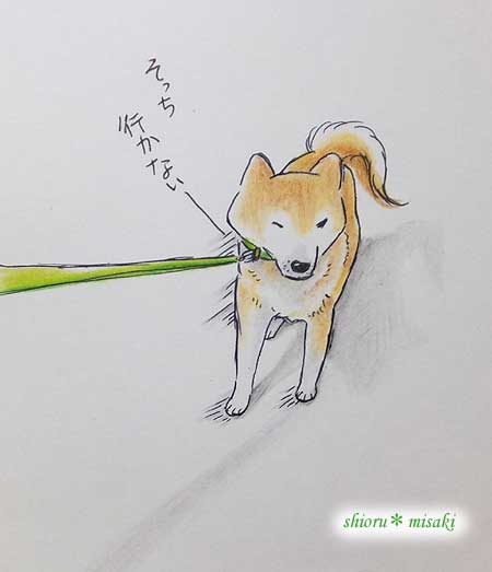いやいや柴の絵w もっぱら柴犬さん いやいや柴の絵w もっぱら柴犬さん