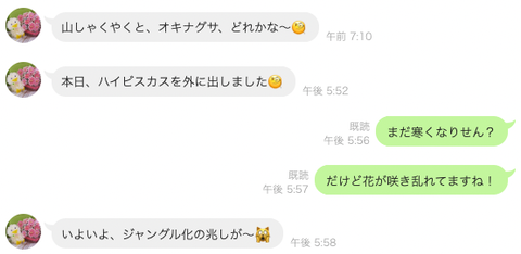 スクリーンショット 2022-05-01 10.56.25