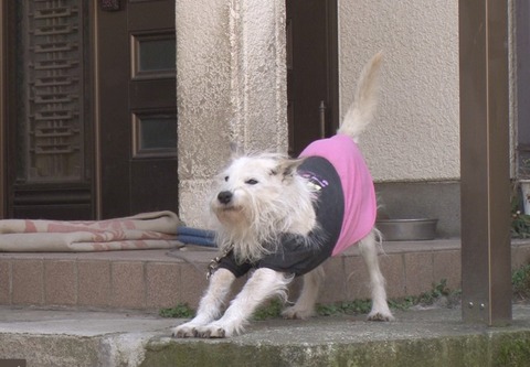 アリー03