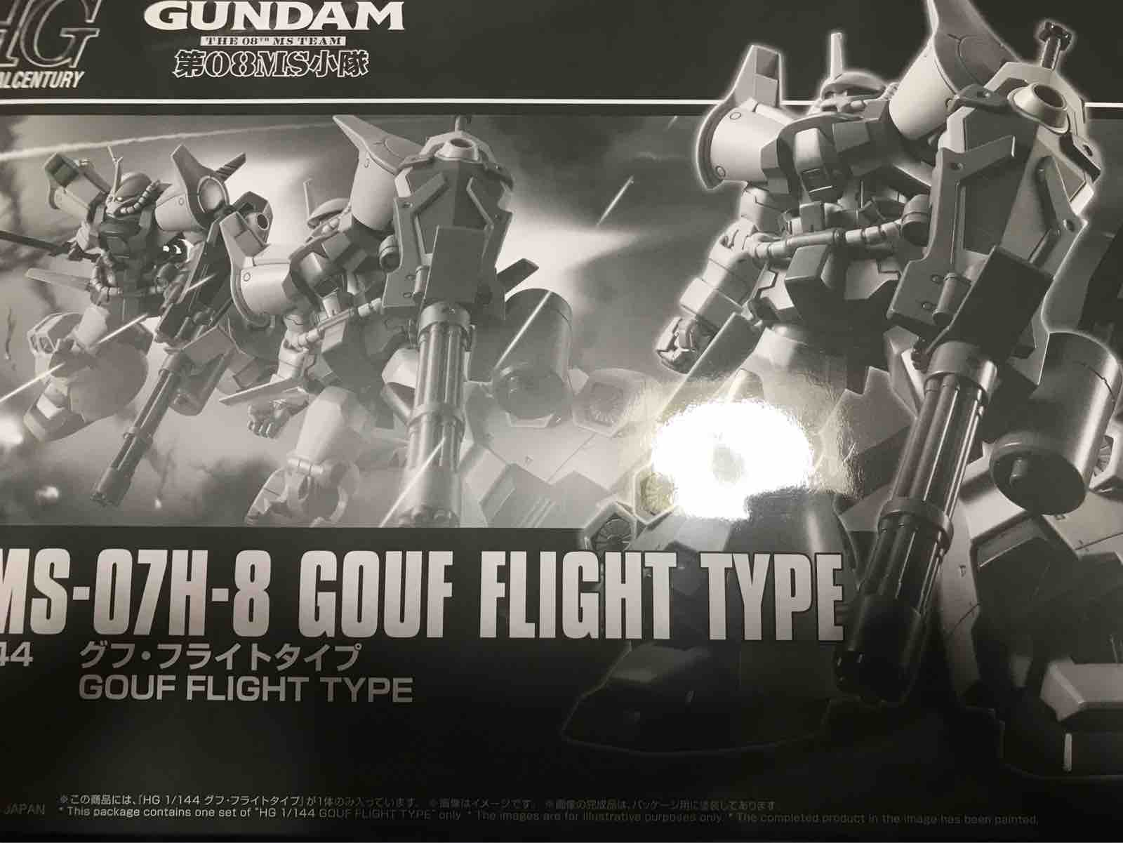 Hg グフ フライトタイプ ランナーレビュー Morgana Works Hg グフ フライトタイプ ランナーレビュー Morgana Works