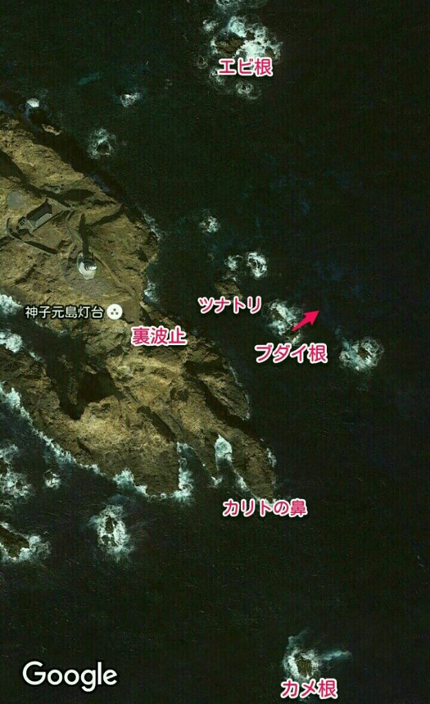5 1 神子元島 ブダイ根 からのエギング 伊豆で何か釣れらんかな 5 1 神子元島 ブダイ根 からのエギング 伊豆で何か釣れらんかな
