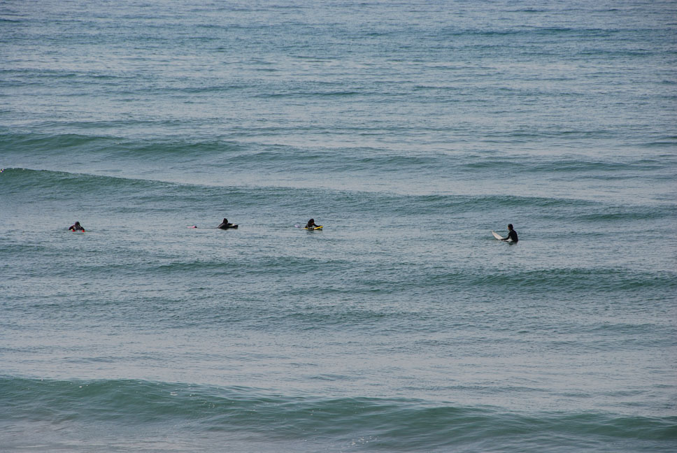 冬のサーフィン 新潟の四季と自然