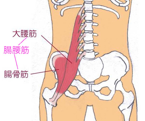 陸上短距離腸腰筋