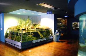 湧水の里写真 010