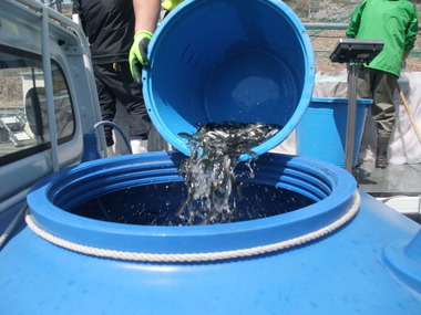 山梨県水産技術センターにて