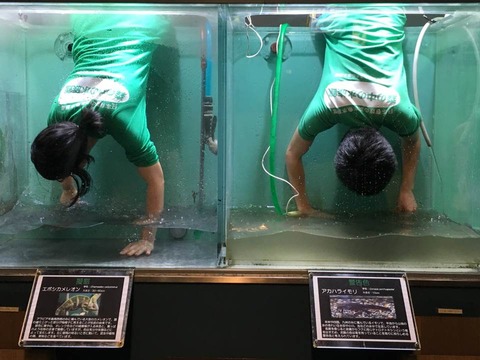 プレゼンテーション1