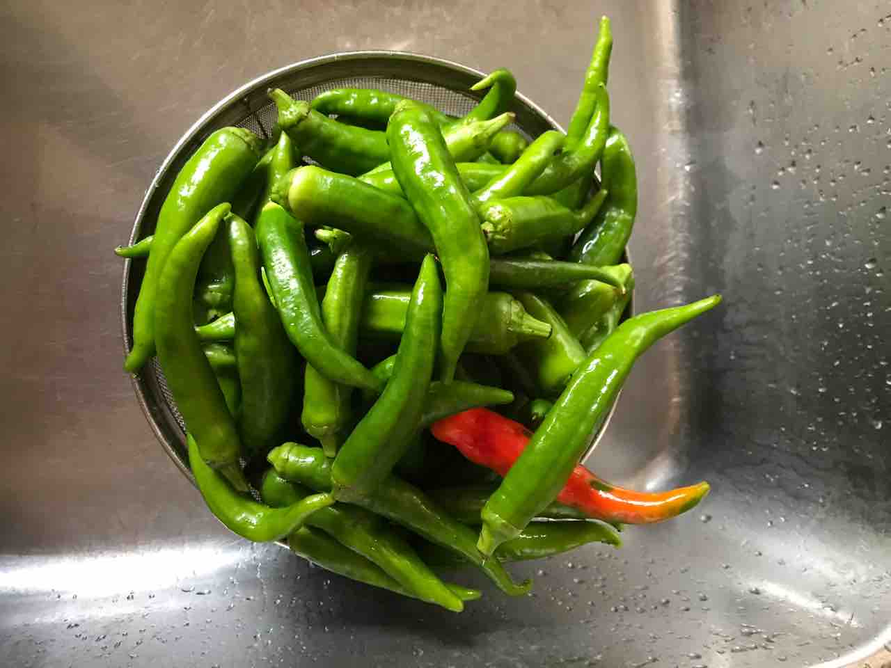 甘長唐辛子の佃煮 : 肝っ玉母ちゃんの毎日 田舎編