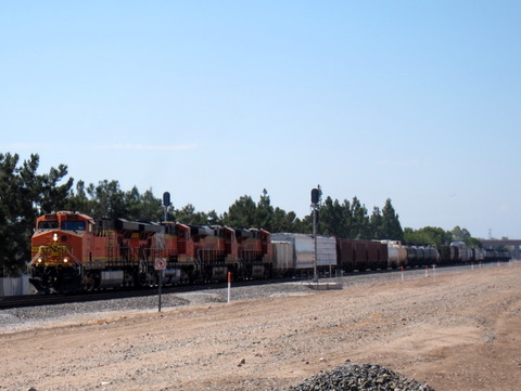 IMG_9723のコピー