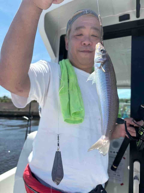 7月19日（日）シロギス調査　釣り好き友達と。良いサイズを中心にホウボウ、イシモチ混じりました。 (2/4)