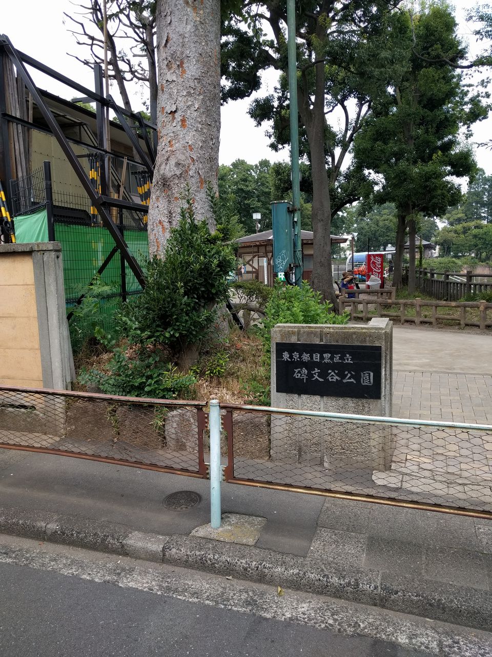 森泉 森星 森家との戦争ブログ